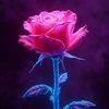 Check My Offers 