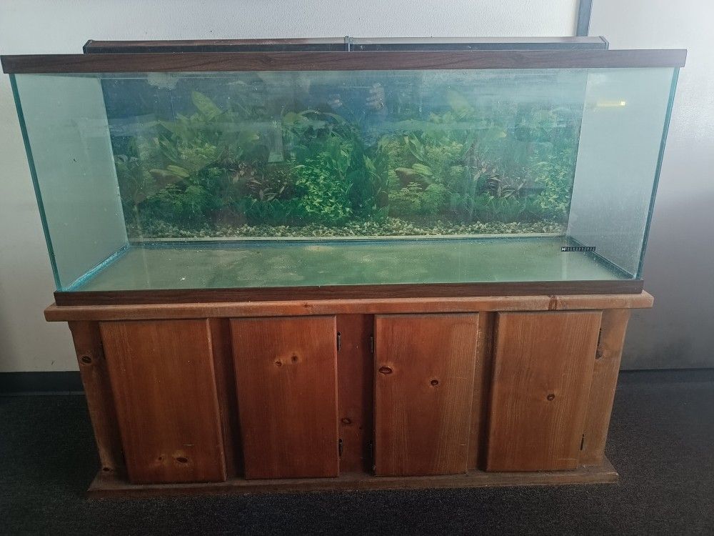 125 Gallons Rectangular Fish Tank w/ Solid Oak Wood Stand & 2 Lights 100% No Leaks Pre-Owned In Great Condition Moving Sale