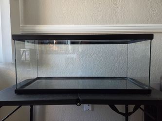 Reptile enclosure