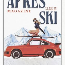 Apres Ski Wrapped Canvas Wall Art 28x40 