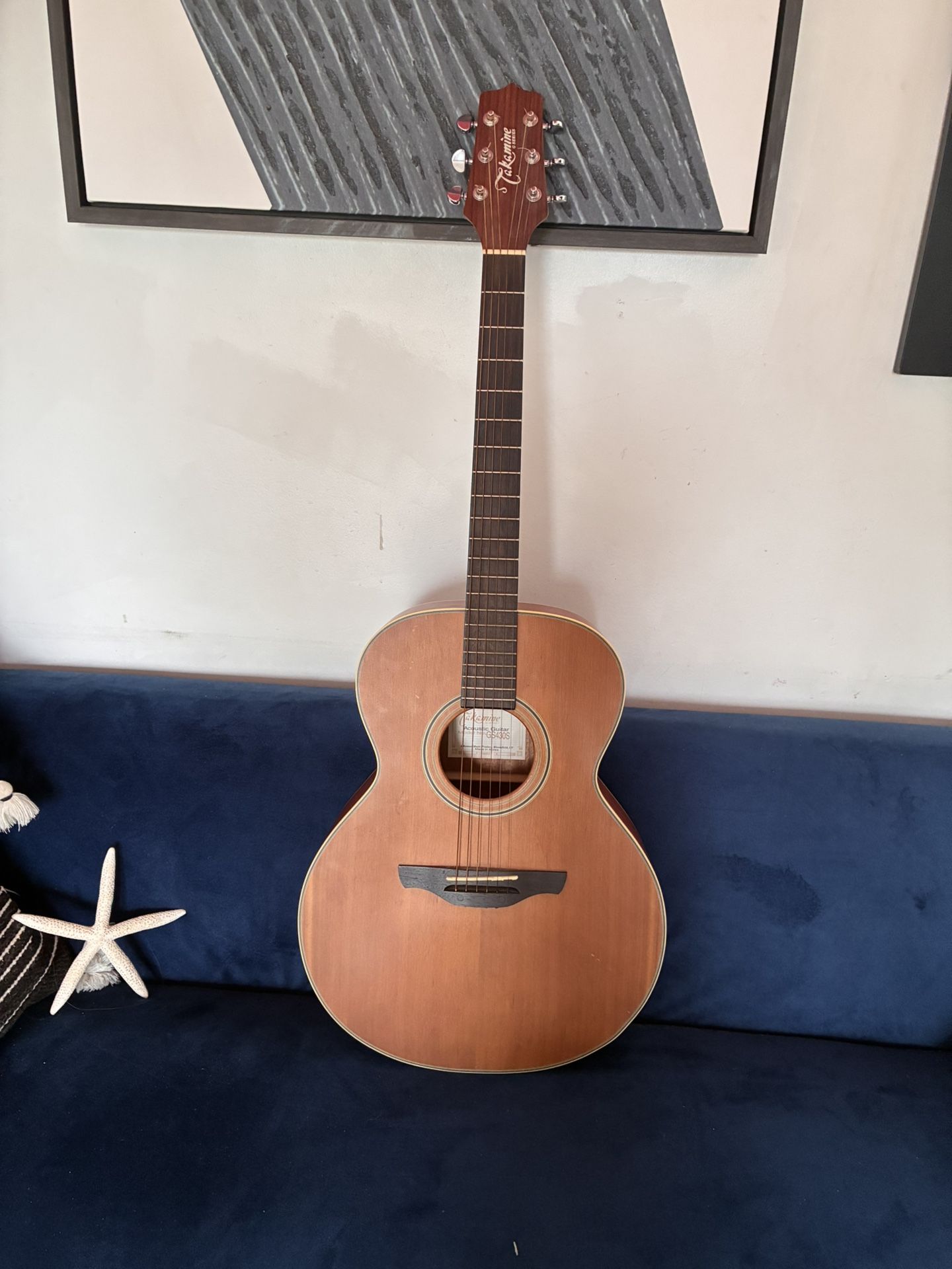 Takamine G Series  Acoustic Guitar