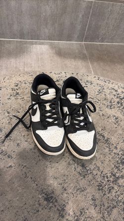 size 11 nike dunks