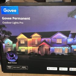 Permanent Lights (Govee)