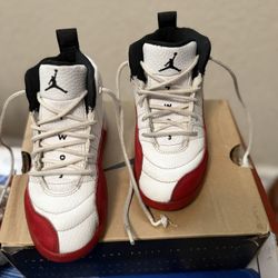 Jordan 12 