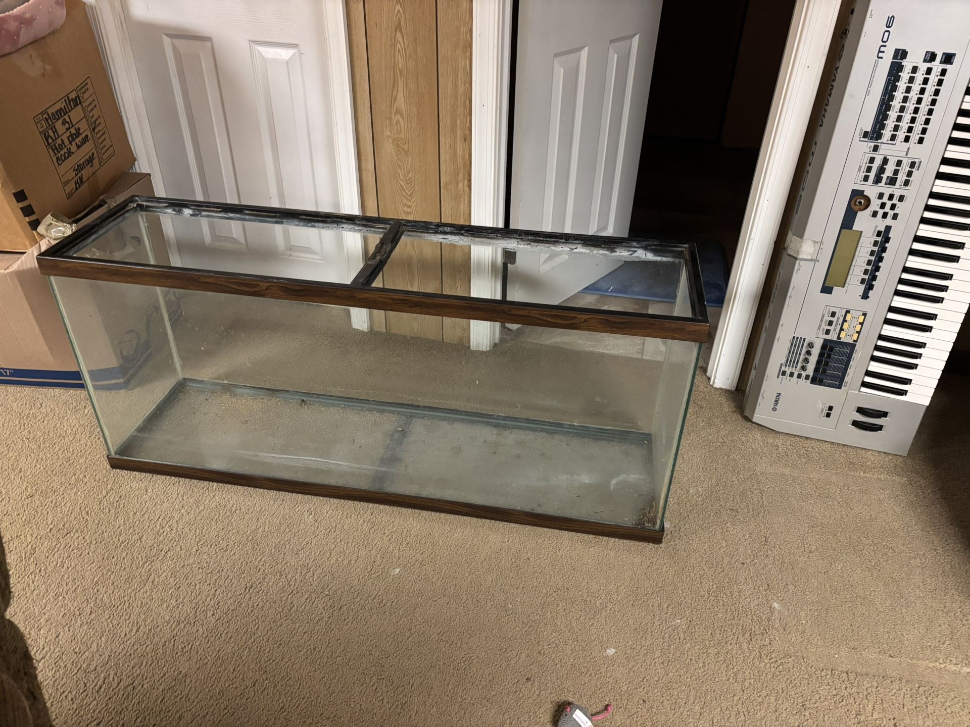 55 Gallon Tank