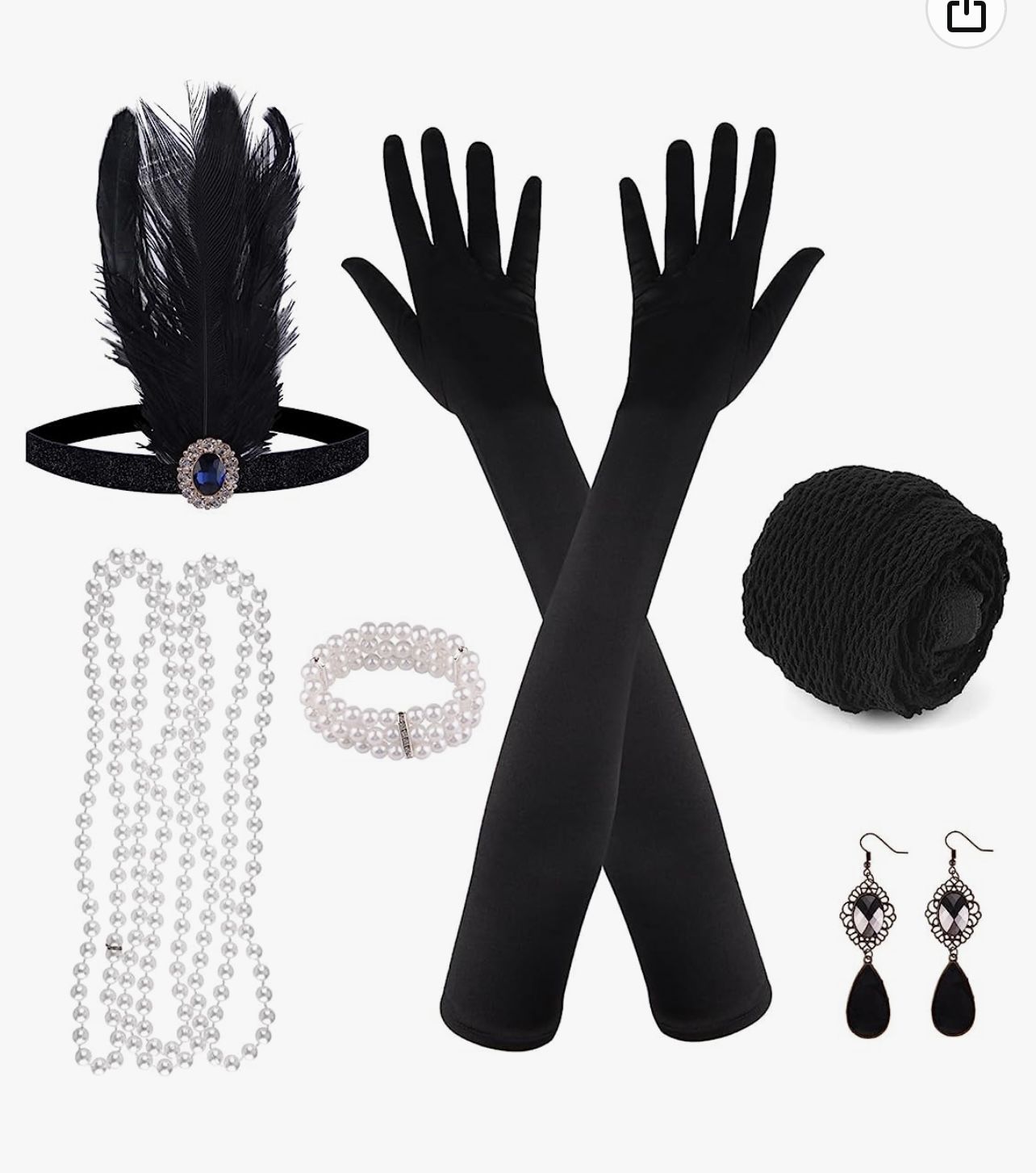 Nib Roaring 20’s Accessories 
