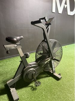 Rogue Echo Bike