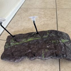 Zoo Med Floating Turtle Dock