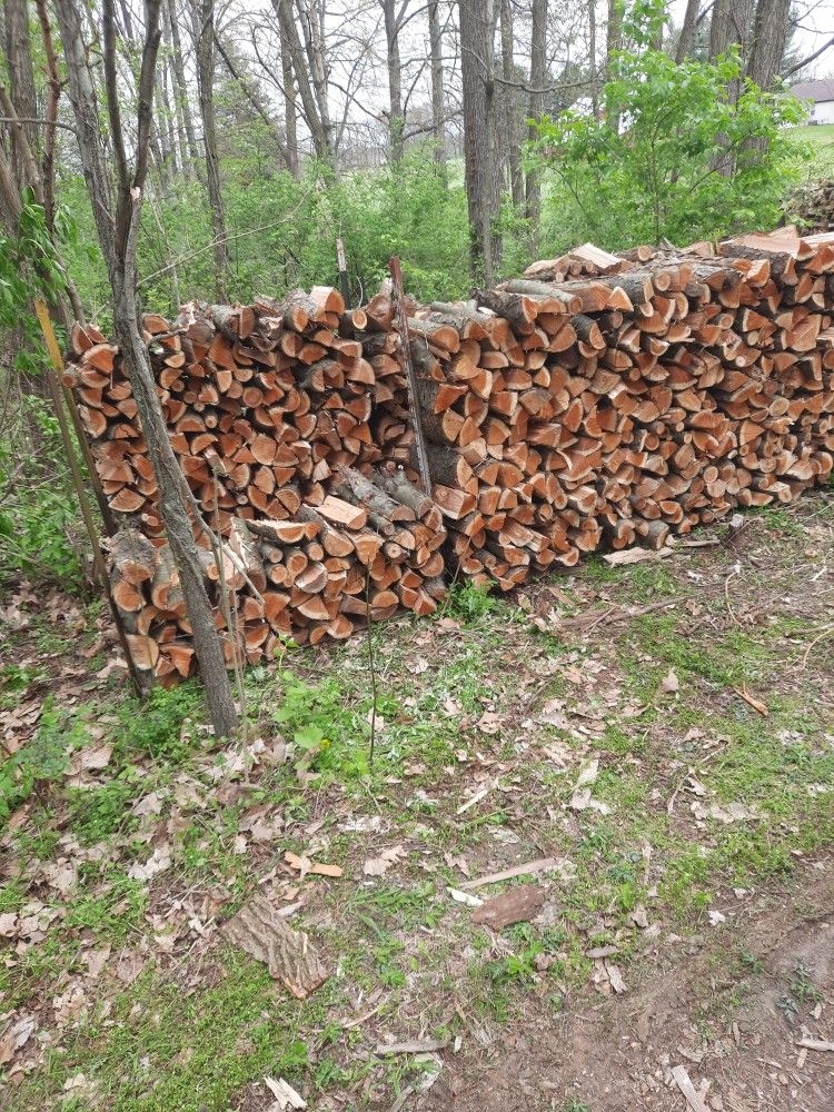 Seasoned Firewood