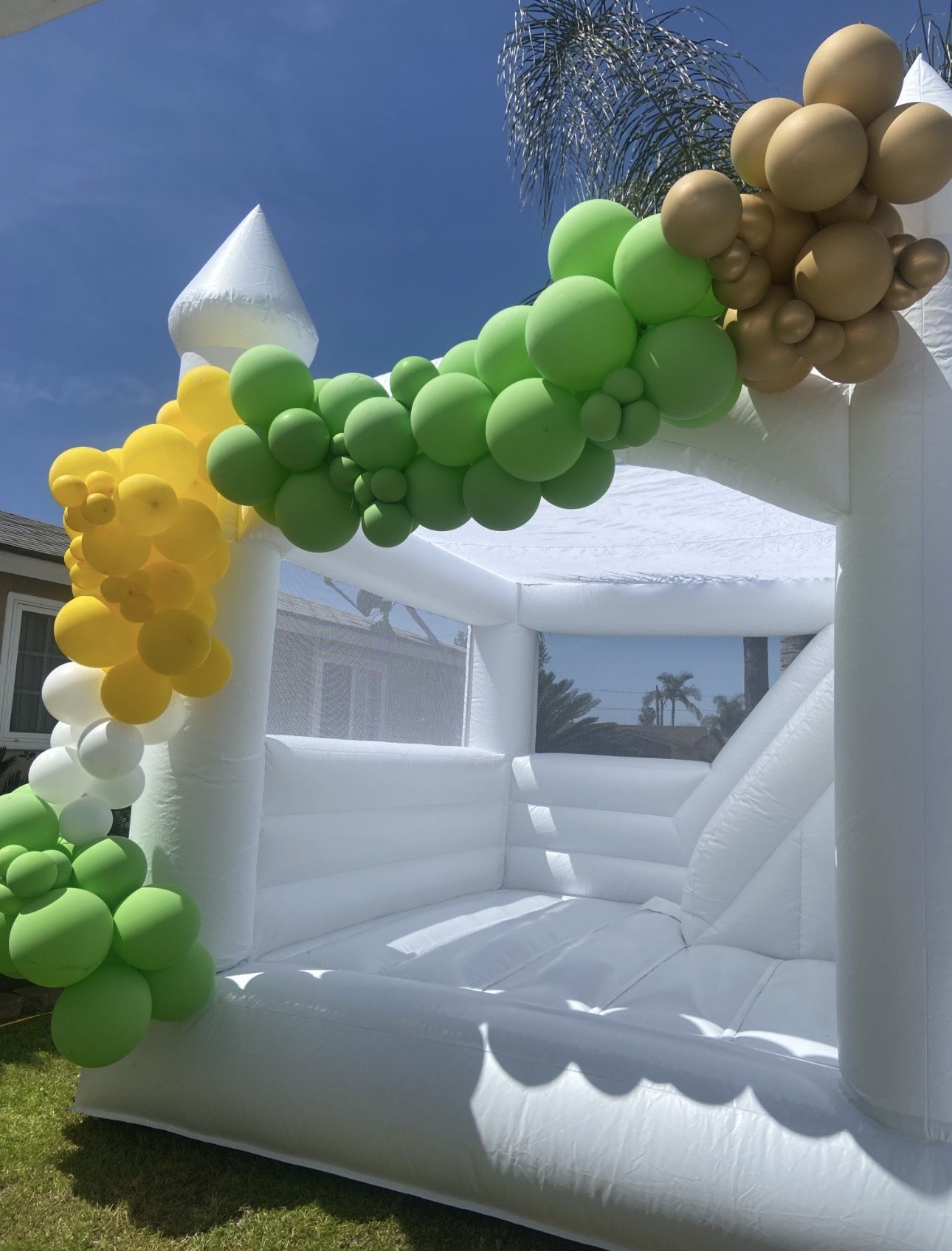 Affordable Party Decor 