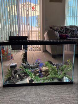 Fish tank full set up with accessories
