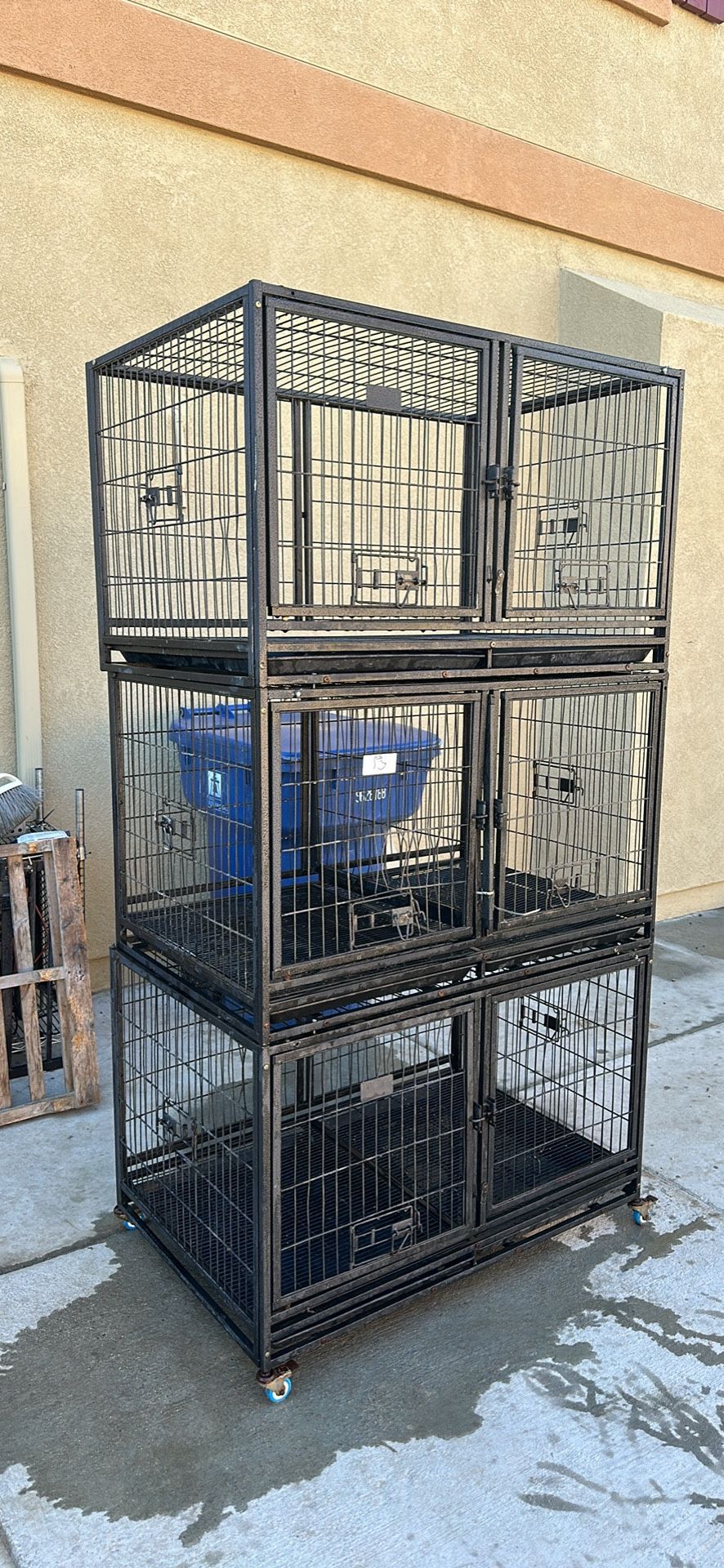 Dog Cages/Crates Pending Pick Up 