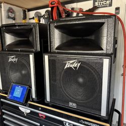 Peavey 15 Inch Reconditioned Speakers Upgraded With Binding Posts 