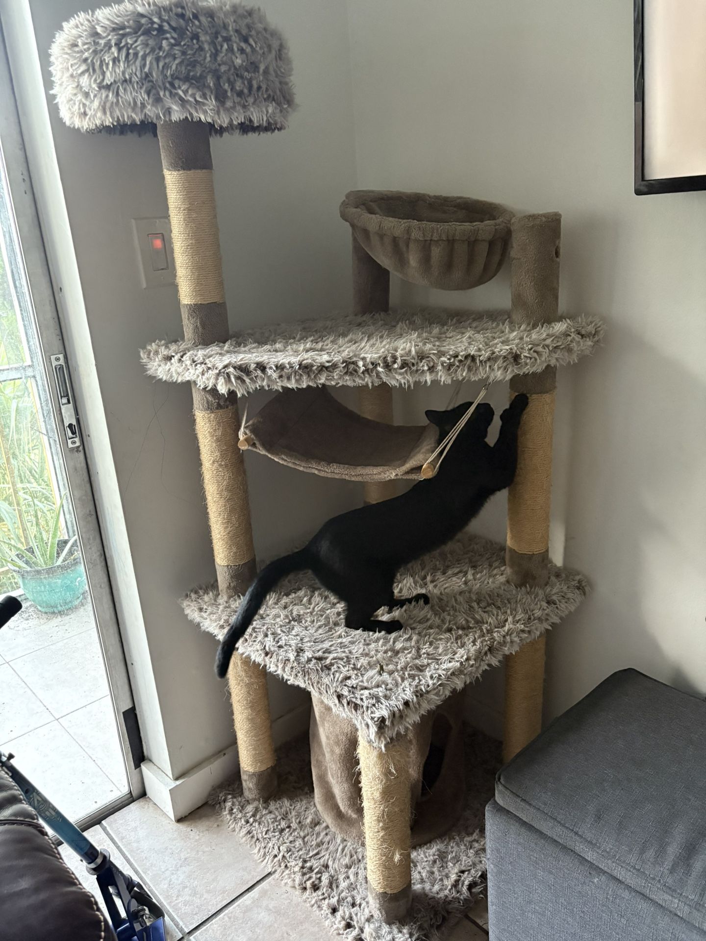 Cat Tower