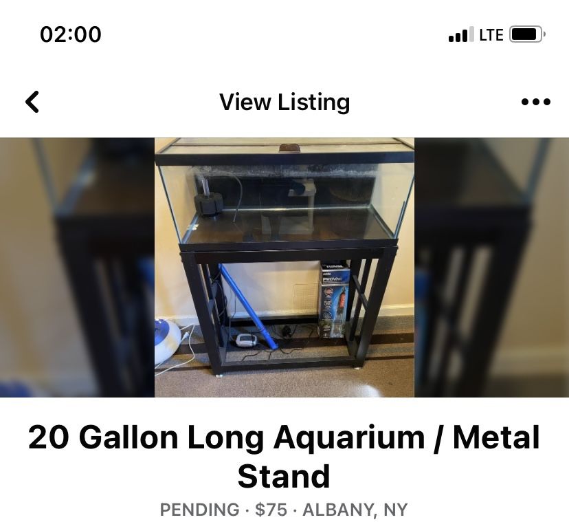 20 Gallon Long Aquarium / Metal Stand / glass lid 
