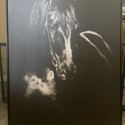 Horse Picture 