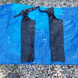 Harley Davidson Leather Chaps