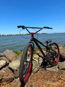 1-1La plaga 29 inch