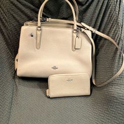 COACH Brooklyn Carryall Bag and Wallet