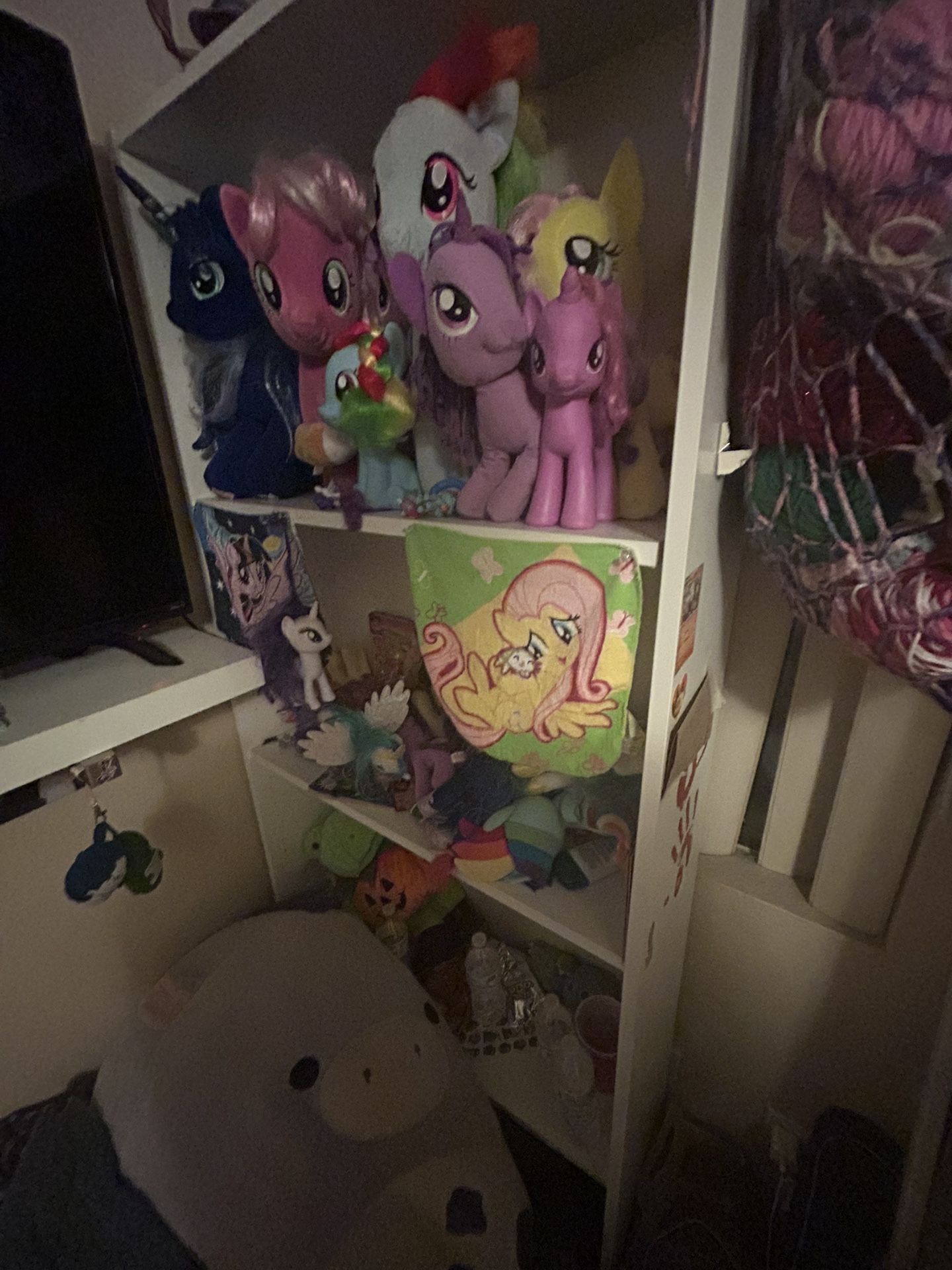 BOOKSHELVES ONLY - NOT STUFFED ANIMALS 