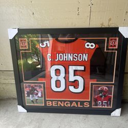 Chad Johnson Bengals Framed  Frame Custom Jersey Signed Autograph Auto NFL Football Coa Beckett Jsa Fanatics Memorabilia