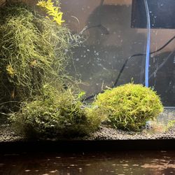 Aquarium Fake Moss