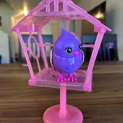 Little Live Pet Bird