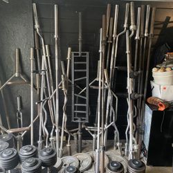 Barbells/Curl Bars/Specialty Bars