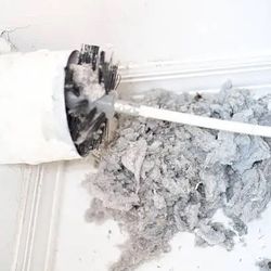 Dryer Vent Cleanout 