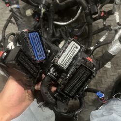 2023 Camaro SS Engine harness
