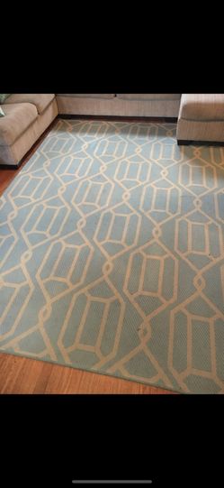 Outdoor/Indoor Area Rug