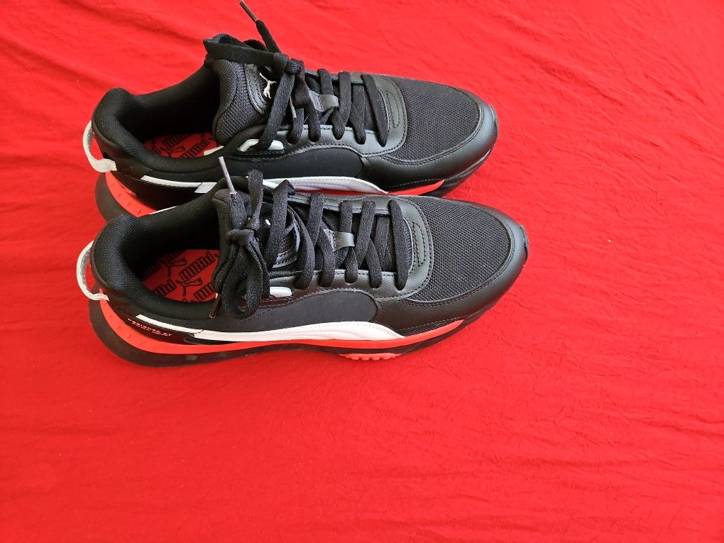 Puma