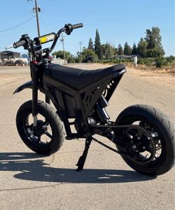 Pegasus e bike 48