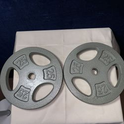 Two 25 Lb Weight Plates 