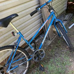 Murray Mtn Bike