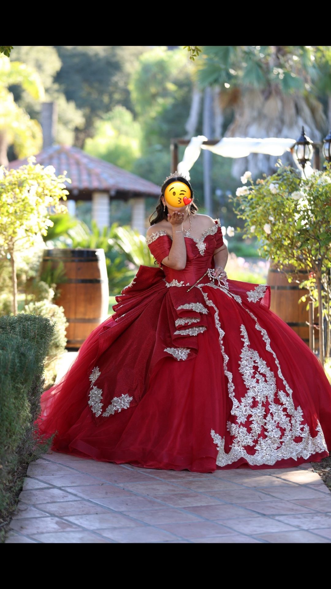 Quinceañera Dress