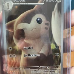 Furret