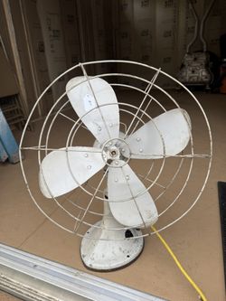 Fan