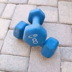 8 Lb Dumbbells