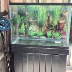 45 Gallon Fish Tank With Stand 