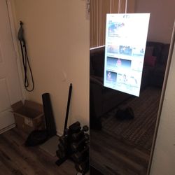 Vue Pro Form Fitness Mirror 