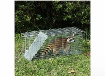 Safe Traps for All Animals - Raccoons, Cats, Groundhogs, Opossums -