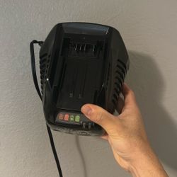 56v lithium ion battery charger echo