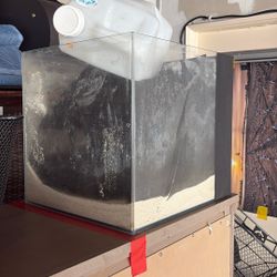 All In One Saltwater Fish Tank