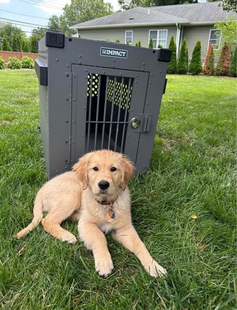 Impact-Dog-Crate