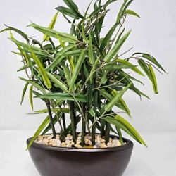 Artificial Bamboo Plant with Brown
Ceramic Pot