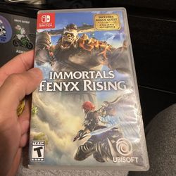 Nintendo Switch and Nintendo DS Games