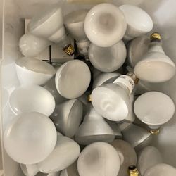 Ligth Bulbs.  Energy Saver.        Used 3 Bucks Each 
