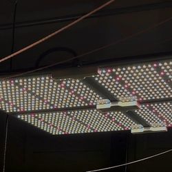 Spider Farmer Grow Light