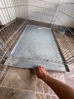 Dog Cage Large Dog